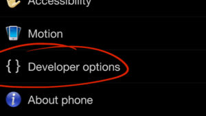 developer options